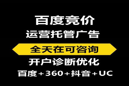 实战派经验分享：百度竞价代理成功案例揭秘